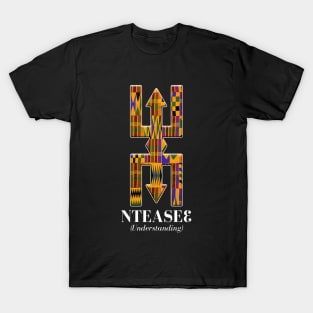 Nteasee (Understanding) T-Shirt